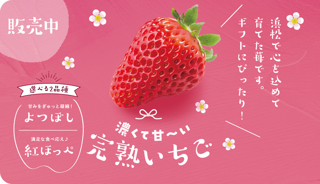 店舗がなくて直売だからご要望に応じてオーダー出来ます。花束、観葉植物、鉢物等何でも承ります。